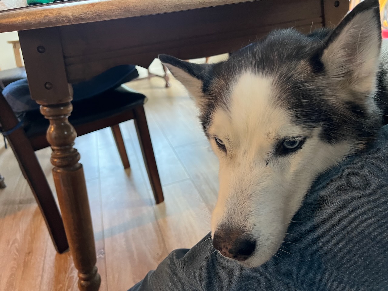 Chance